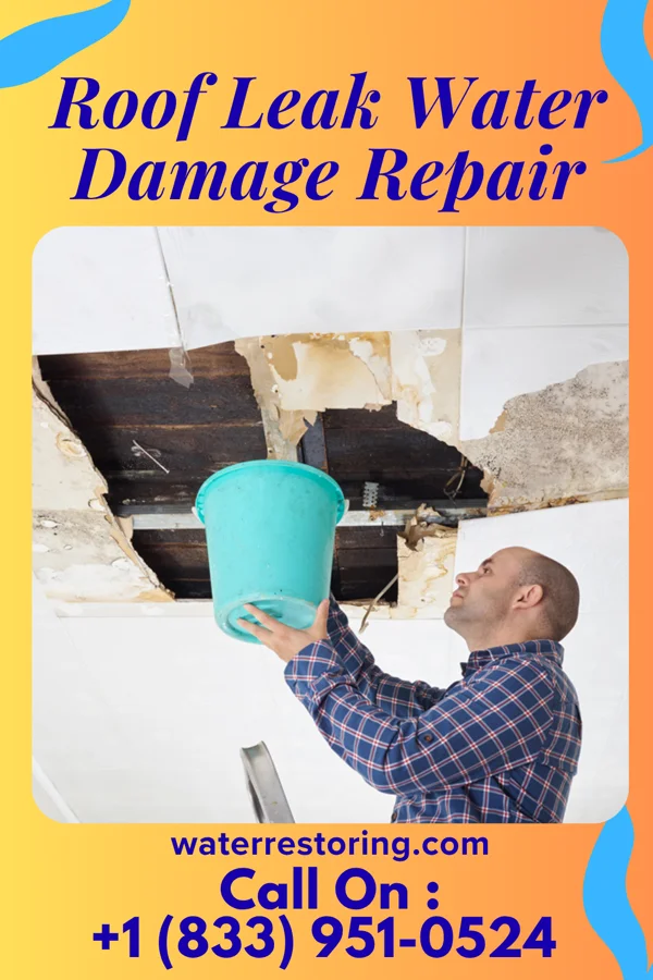 Roof Leak Water Damage Repair in Maplewood, WA